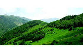 جنگل ارسباران - تبریز